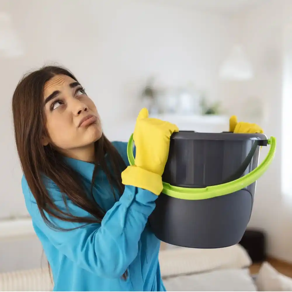 water damage restoration service Flora